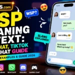 WSP Meaning in Text