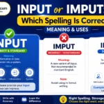 Input or Imput