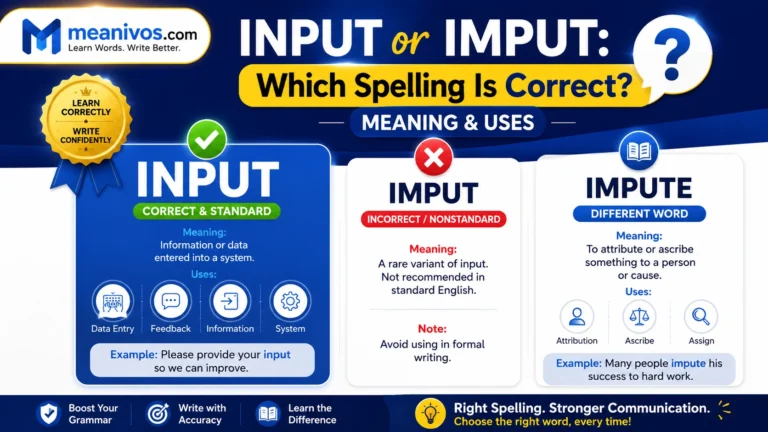 Input or Imput