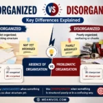 Unorganized vs Disorganized