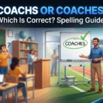Coachs or Coaches