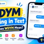 WDYM Meaning in Text